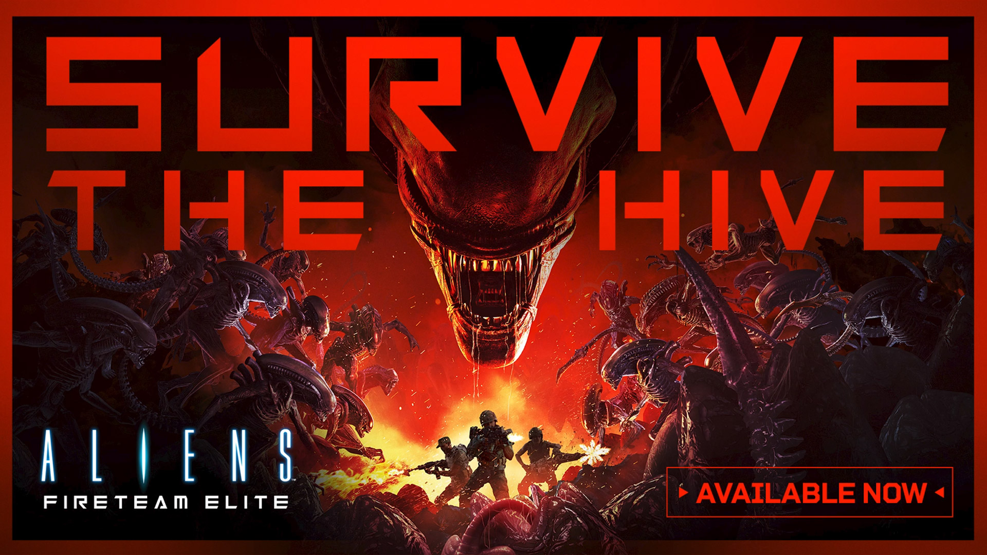 Survive The Hive